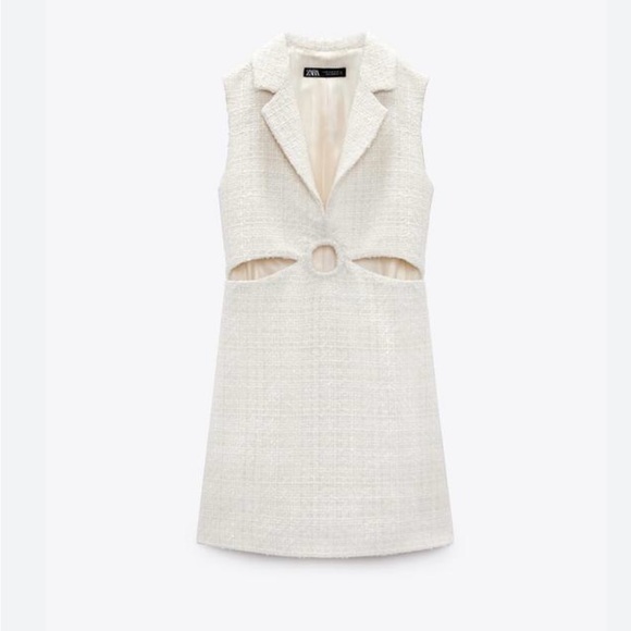 Zara Textured Cutout Mini Dress - Picture 5 of 16